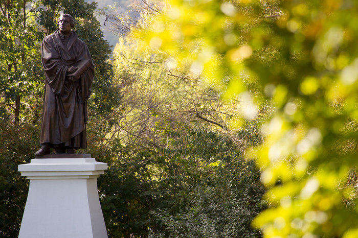 Martin Luther statue in fall