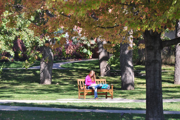 A student studying during a nice day.