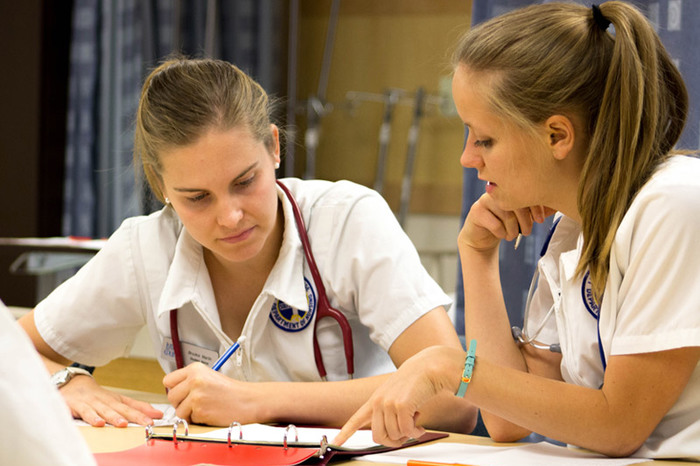 Nursing students discussing course material.