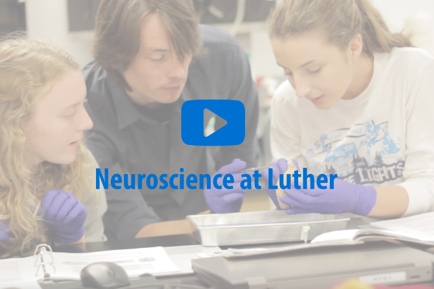 Students participating in a neuroscience class.