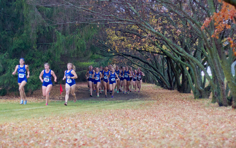 Luther runners compete in a dual meet while enjoying fall colors.