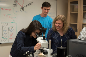 Summer research student, Megan Petzold '18, looks at a small atomic force microscope tip as Professor Flater and Keegan Danielson '19 look on.